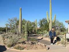 114 Saguaro National Park